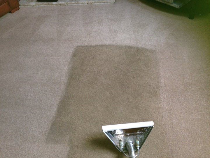 Domestic Carpet Cleaning Norwich & Norfolk TOPMark Cleaning