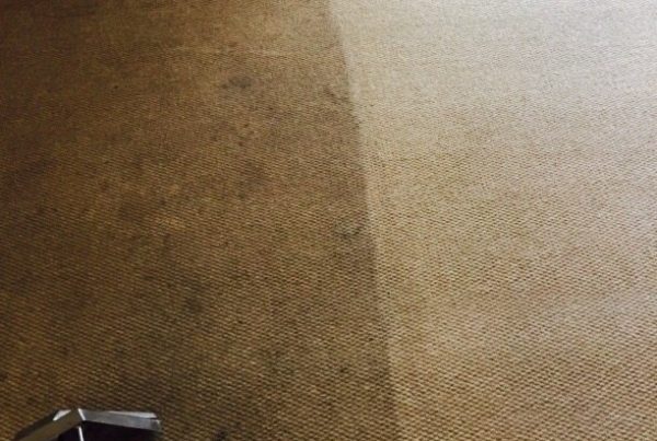 Offic Carpet Cleaners in Norwich