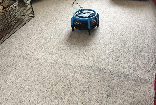 Lounge being cleaning and dried